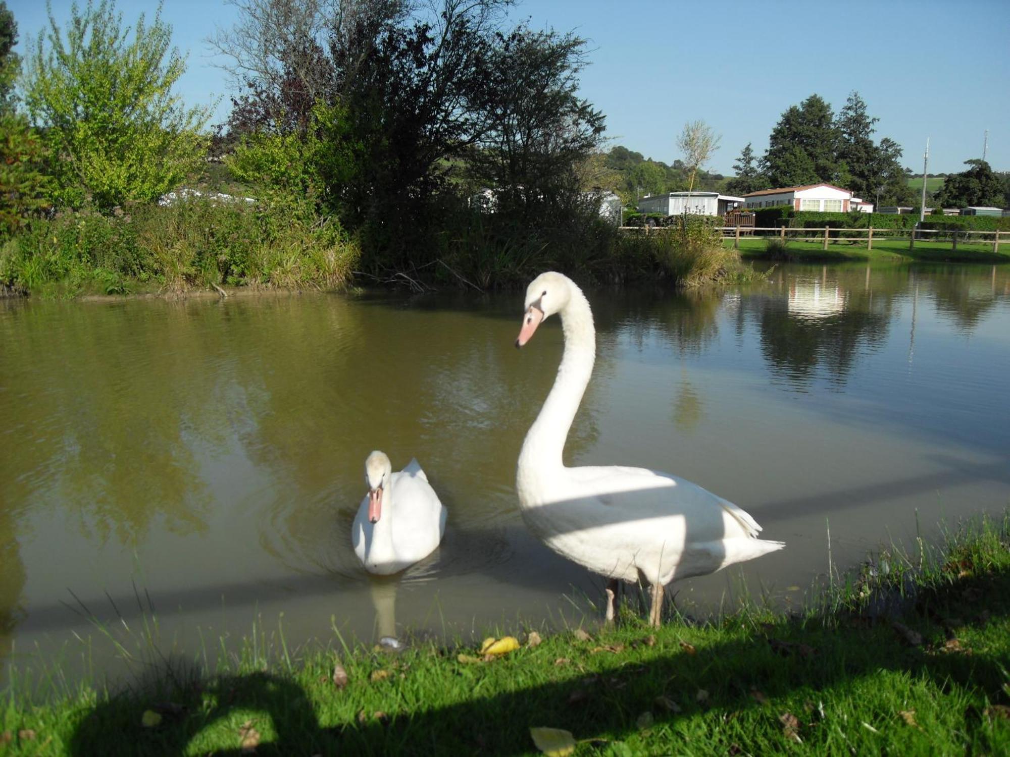 Camping Le Marqueval Pourville-sur-Mer Exterior foto