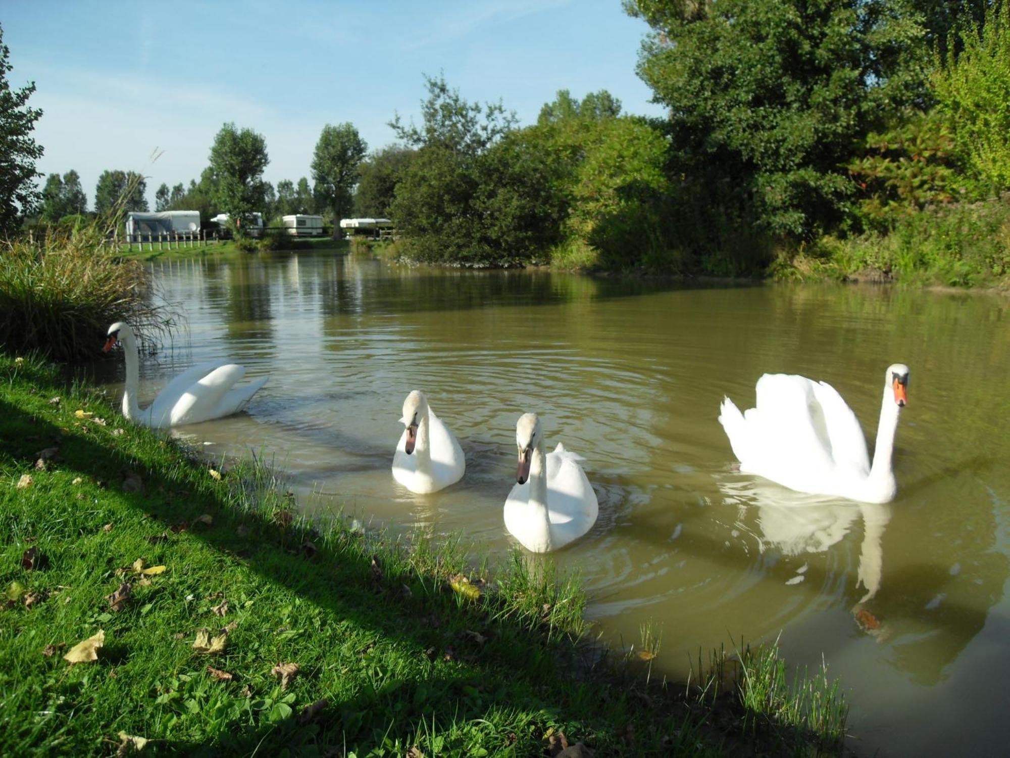 Camping Le Marqueval Pourville-sur-Mer Exterior foto